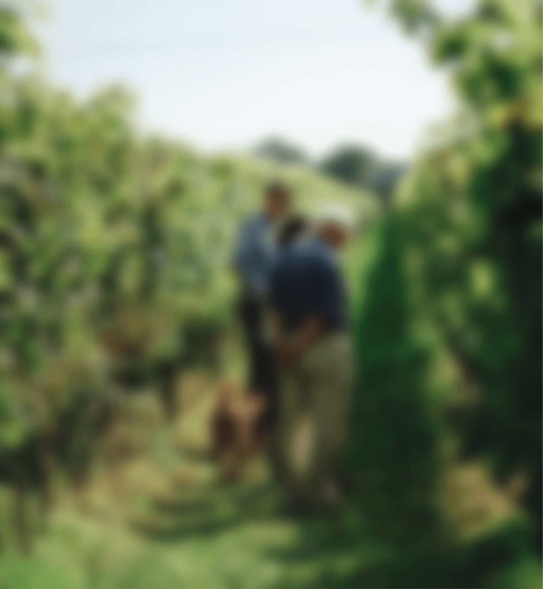 Create personalized tasting notes